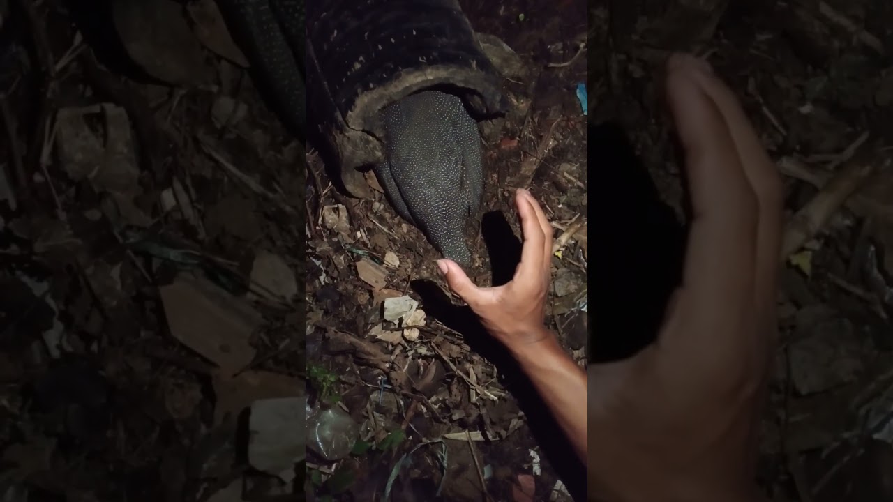 hide in a dark hole 