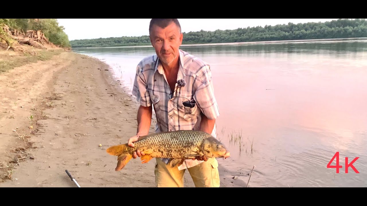 Рыбалка на закидушки с макухой. Ахтуба 2022.