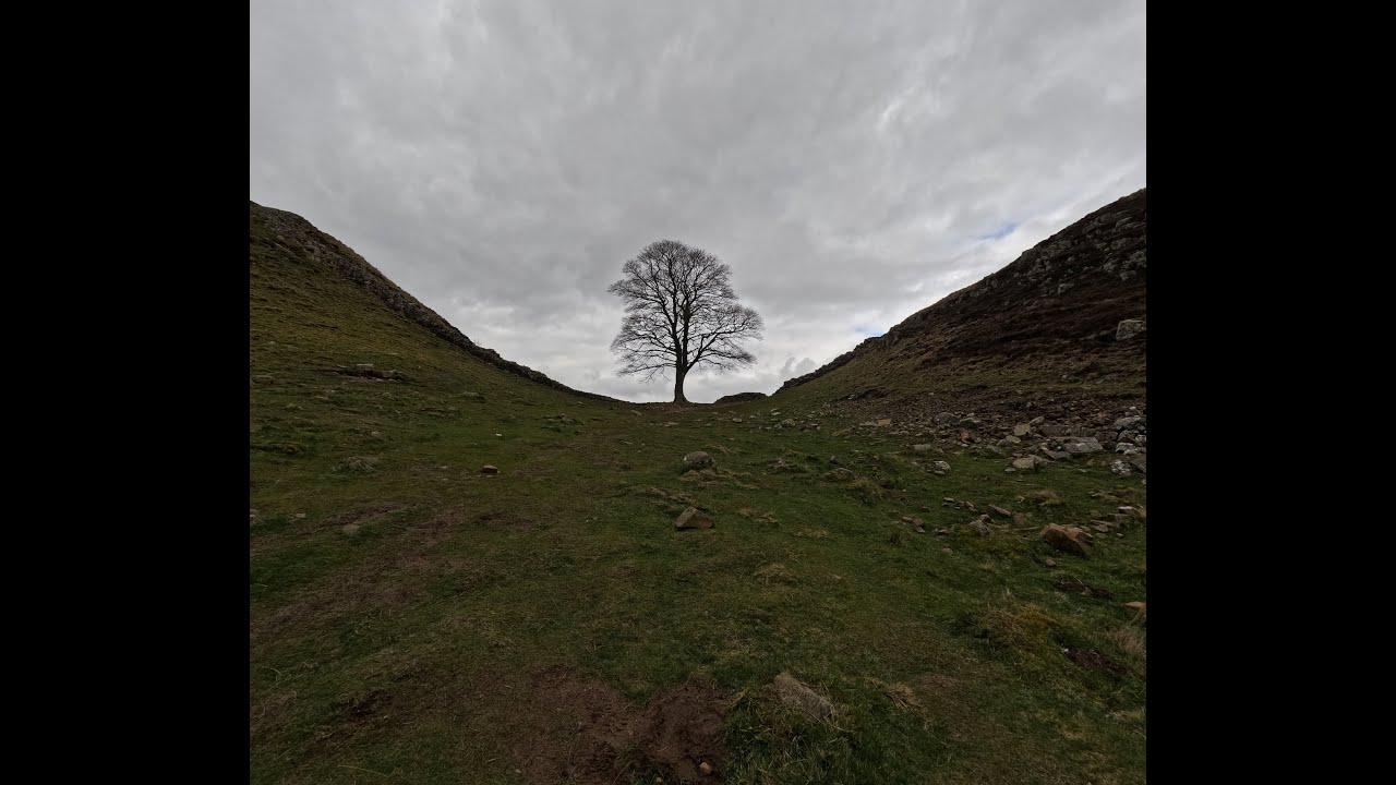 Destination SYCAMORE GAP! Hiking Hadrian's Wall.