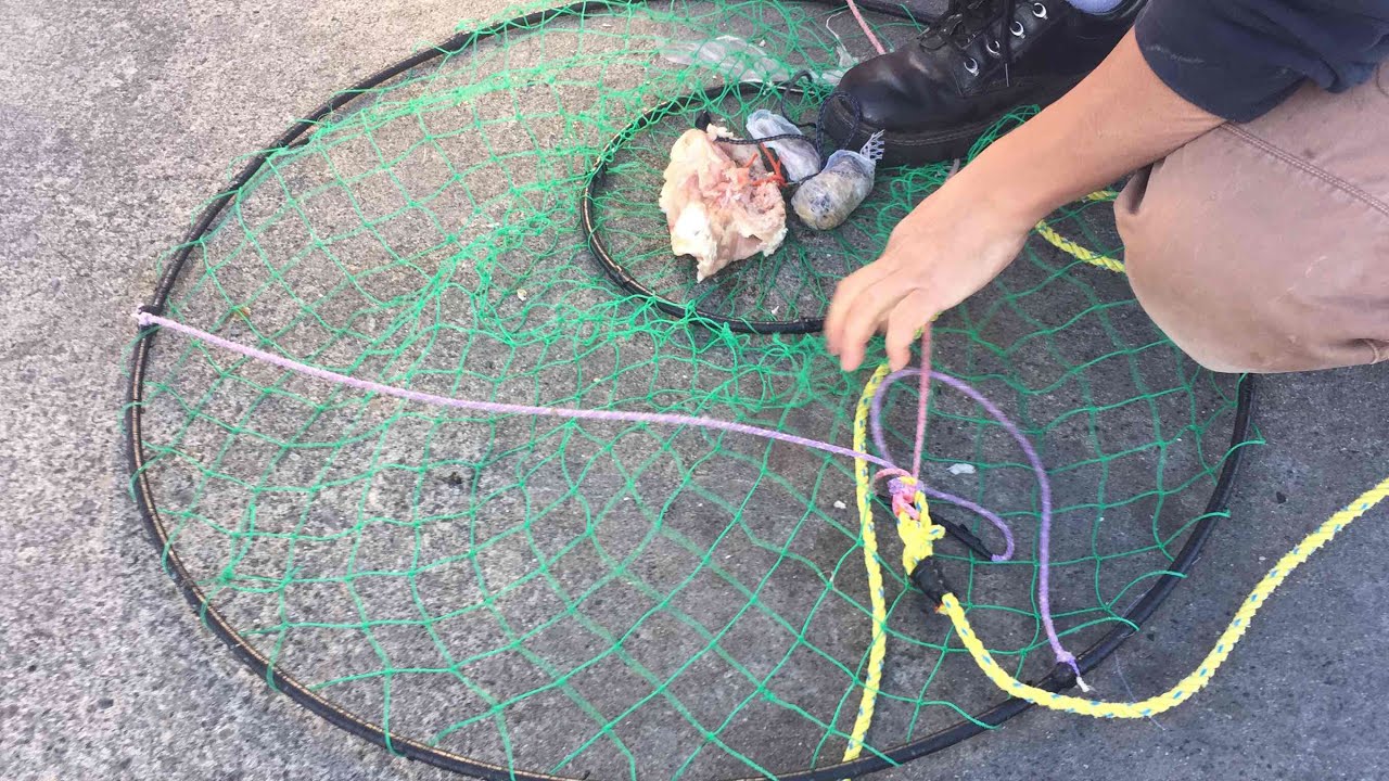 Crabbing at Edmonds Washington State
