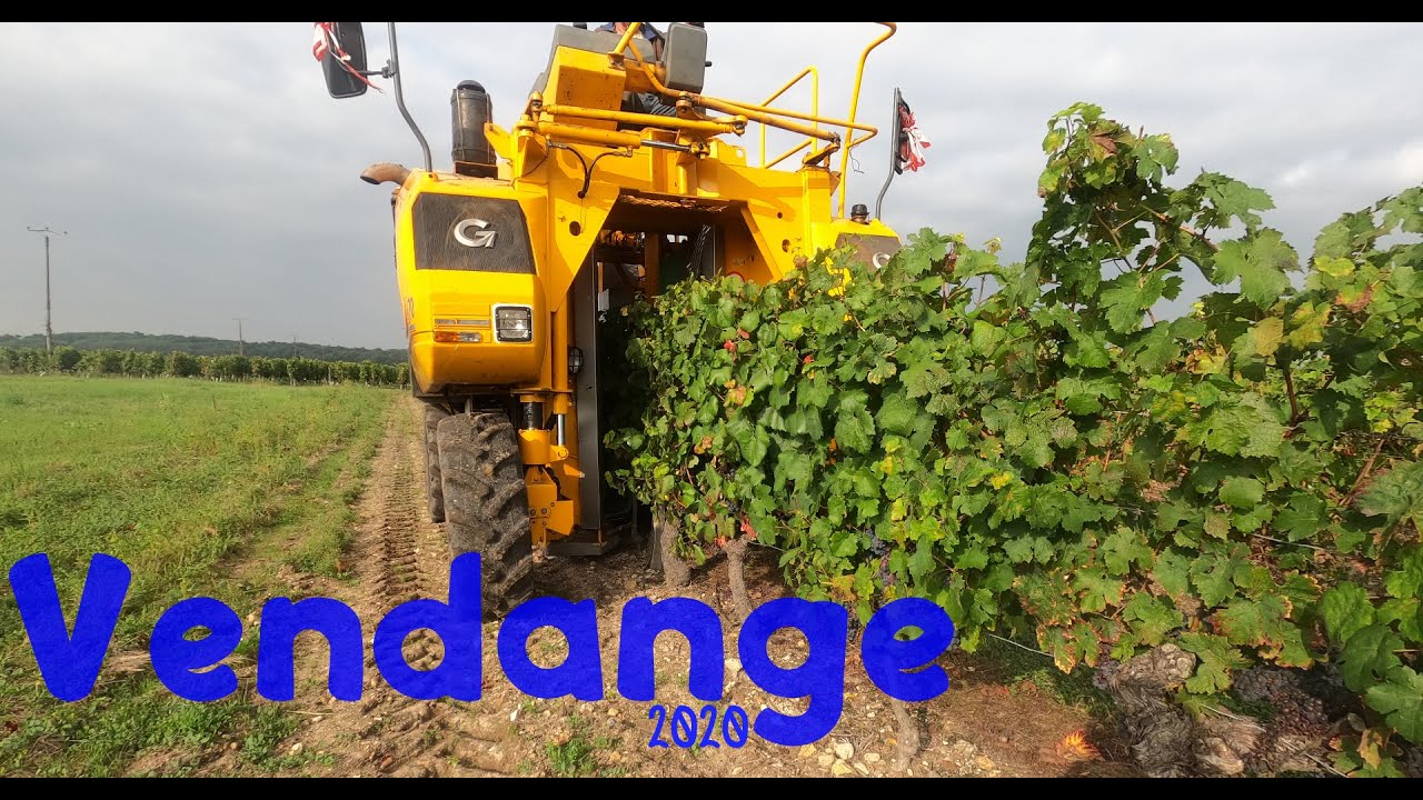 Vendanges mécaniques 2020 🍇