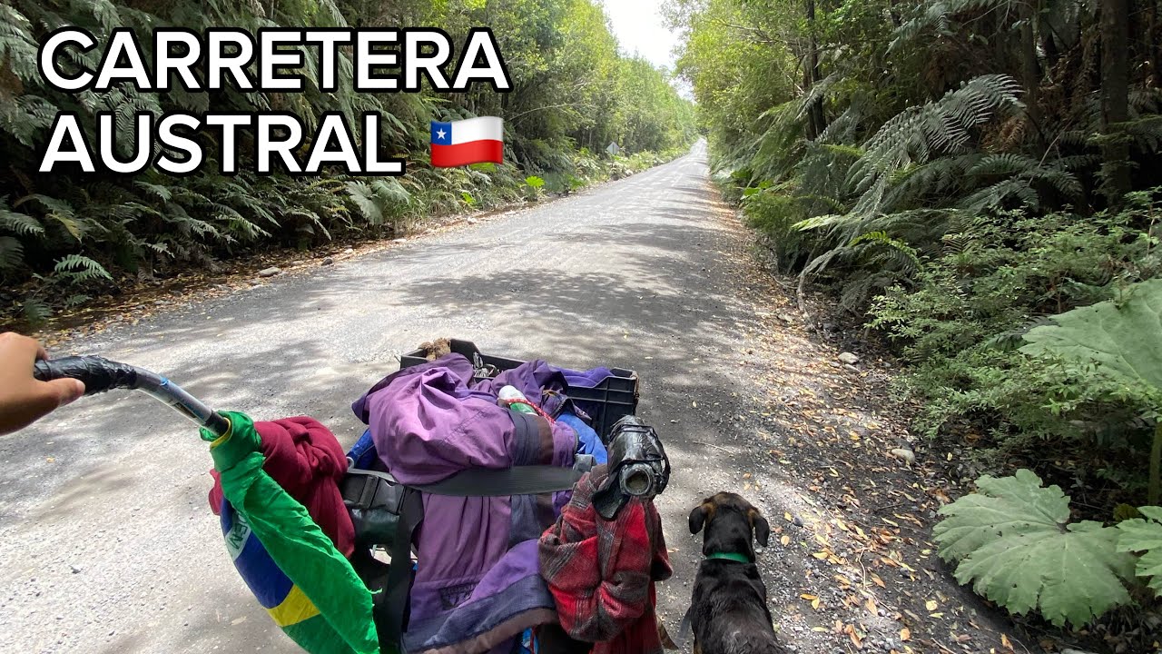 KM 899 a pé — Atravessando o Parque Nacional Pumalín — Carretera Austral, Chile