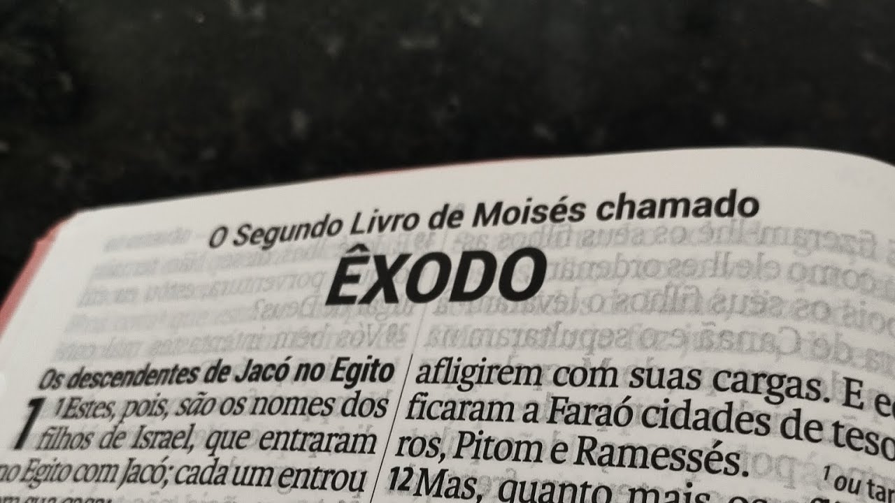 Leitura Anual da Bíblia: Êxodo 10-12