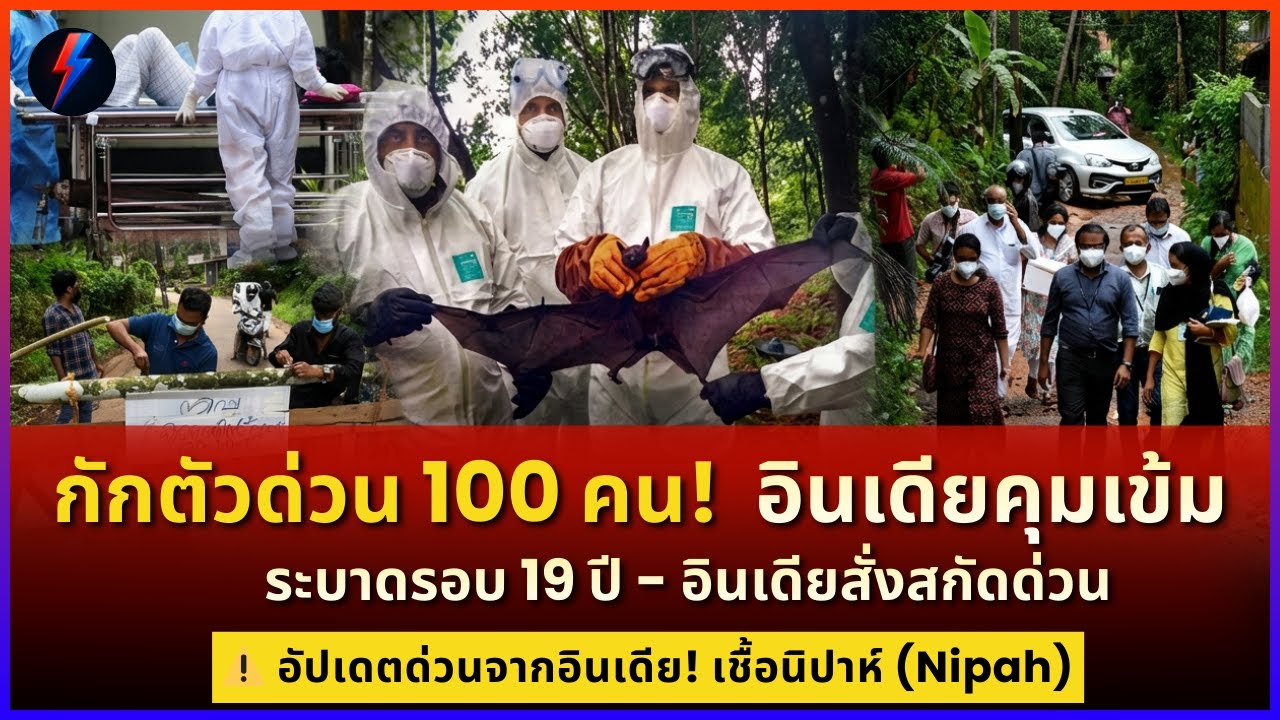 อินเดียสั่งล็อกดาวน์! ไวรัสนรกนิปาห์ ไร้วัคซีน ตาย 75% ไทยต้องระวัง