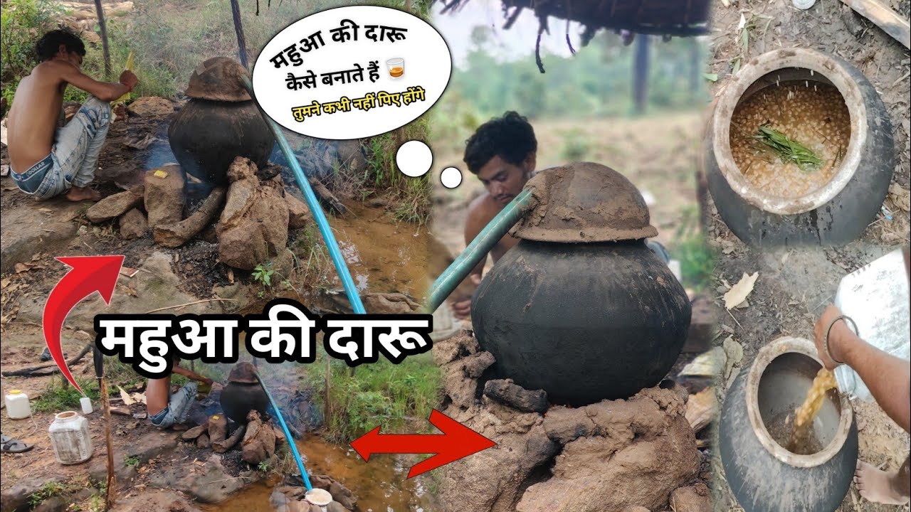 आखिर कैसे बनती है महुआ शराब ? तरीका जानकर हैरान रह जाएगें ! महुआ के फल से कैसे बनती है देसी शराब ?