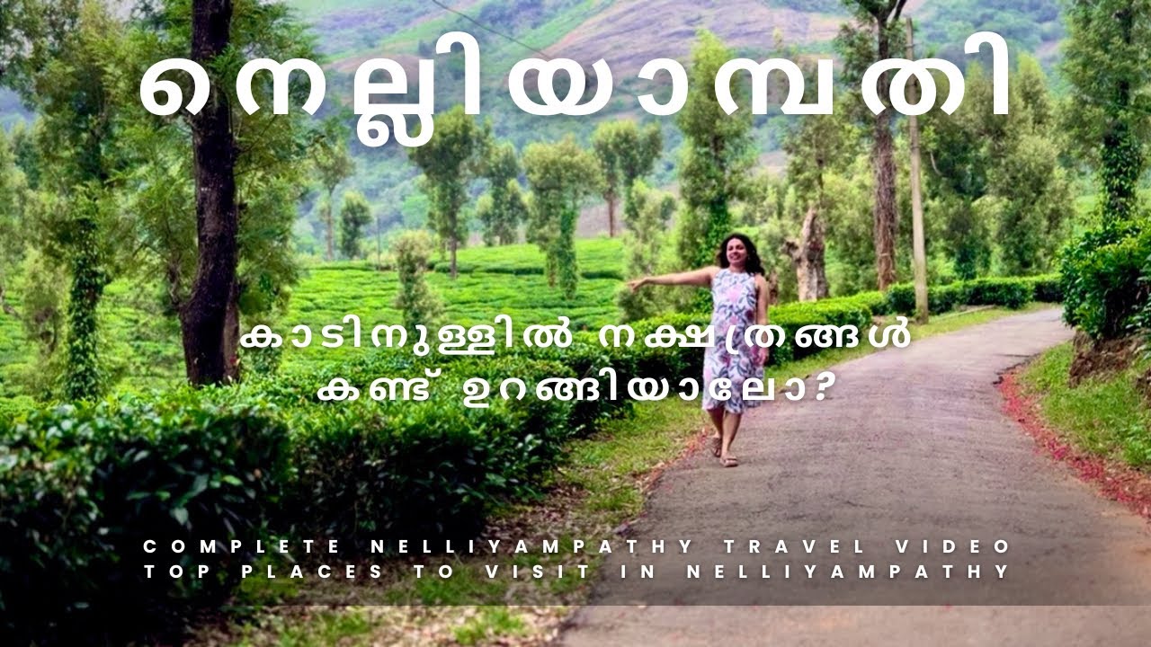 Nelliyampathy Places to Visit 🌧️ | Kerala Monsoon Hill Station Trip | Malayalam Travel Vlog |