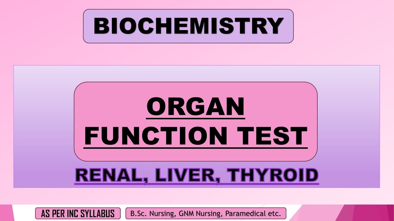 Organ Function Test!! Renal, Liver, Thyroid!!