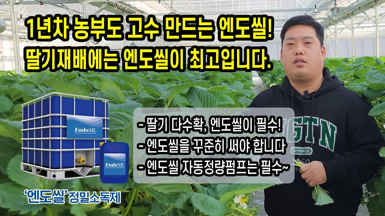 1년차 농부도 고수 만드는 엔도씰! 딸기재배에는 엔도씰이 최고