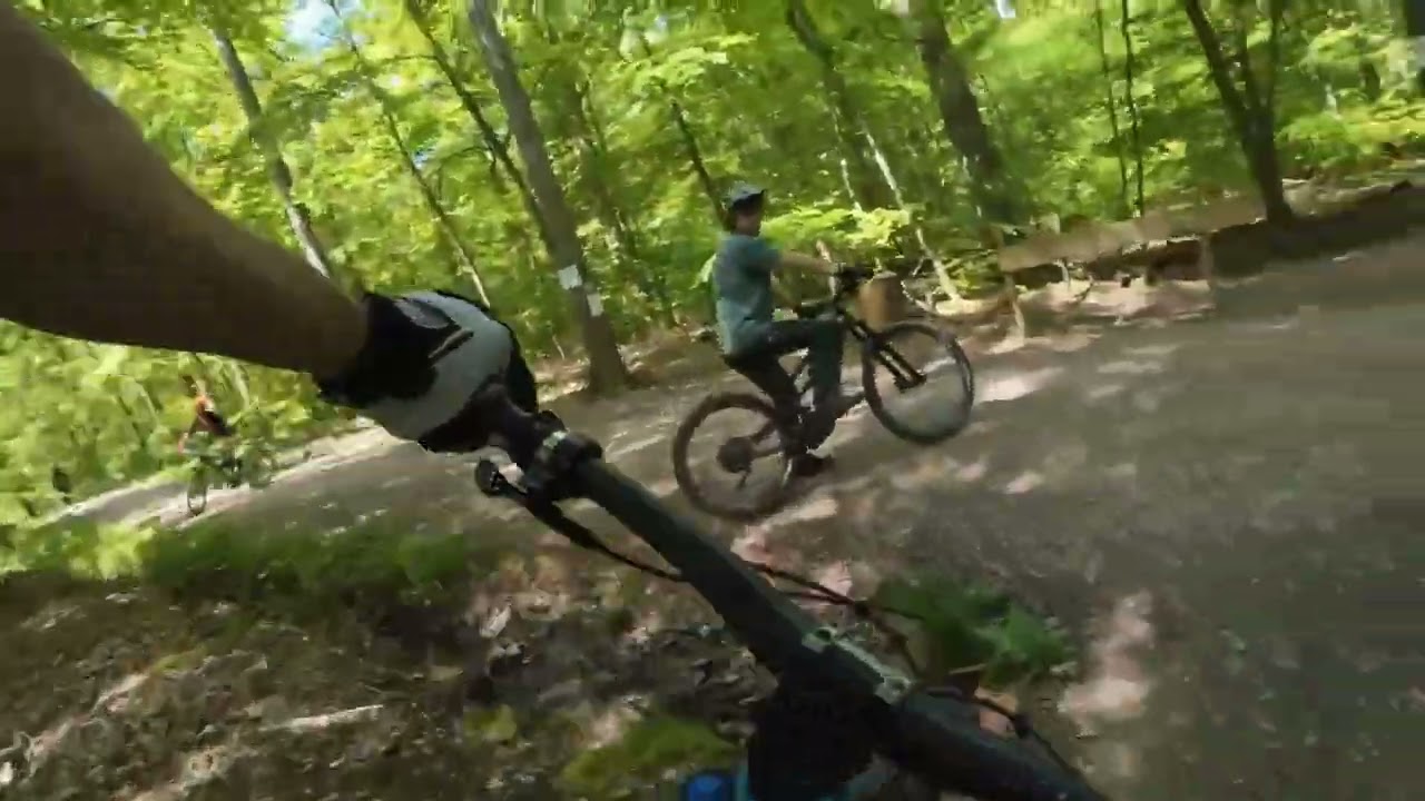 Wildhog Flowtrail / Stromberg (komplett) 2024