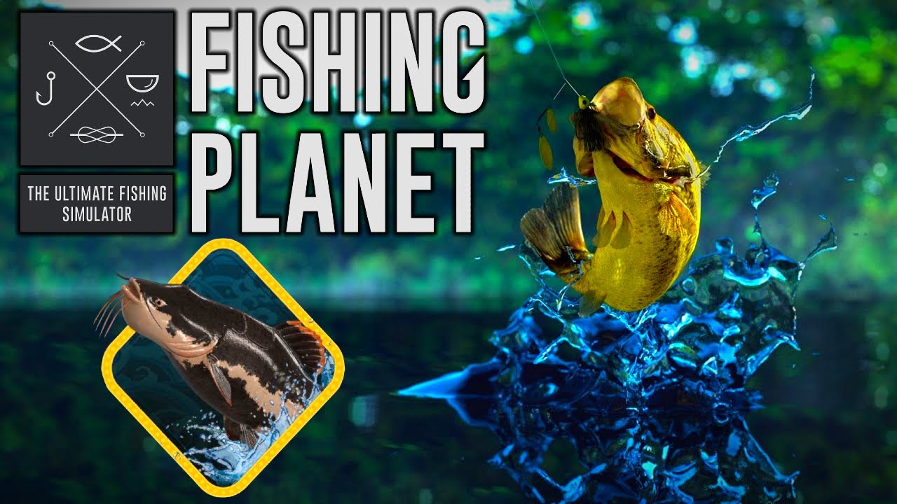 🎮 Bonus Game: Fishing Planet - Marron Monster - Wailing Catfish (Peixe-Gato Ululante)