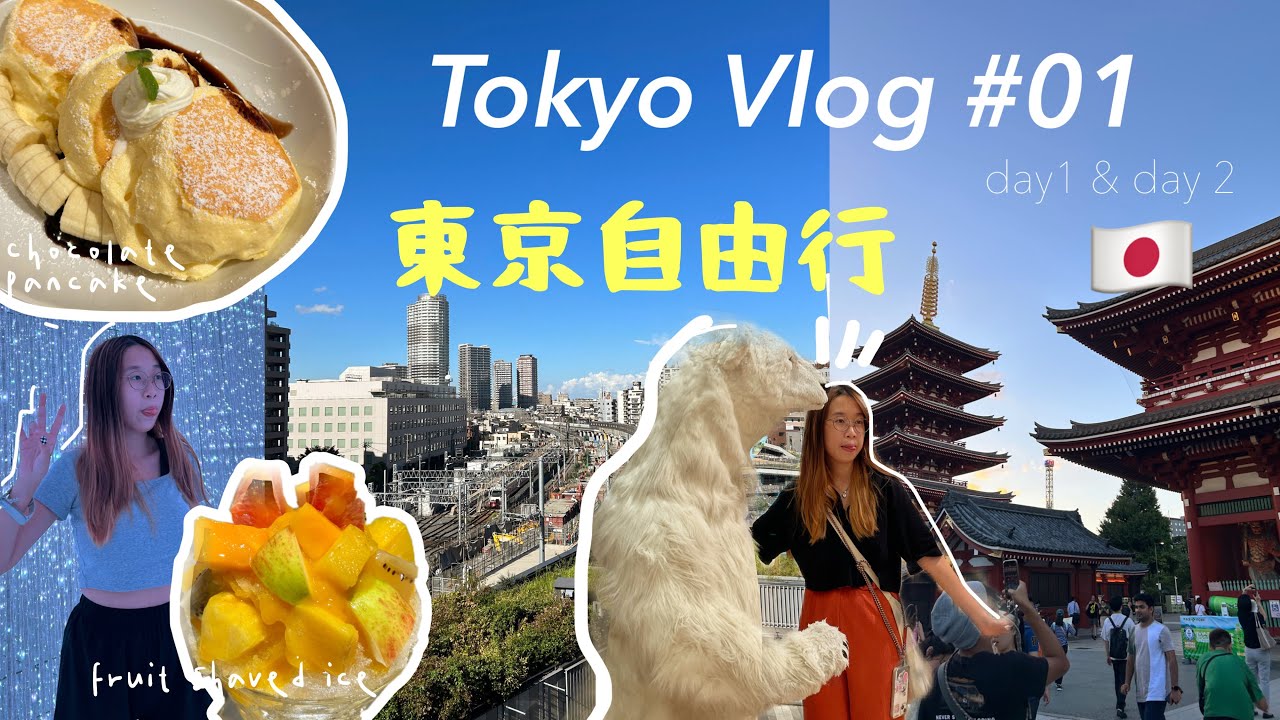 [日本vlog🇯🇵] 東京自由行! (上) 台場一日遊: TeamLab/Joy Polis室內遊樂場🎢+再訪晴空塔/淺草雷門寺🎏✿ Tokyo, Japan Trip 2023
