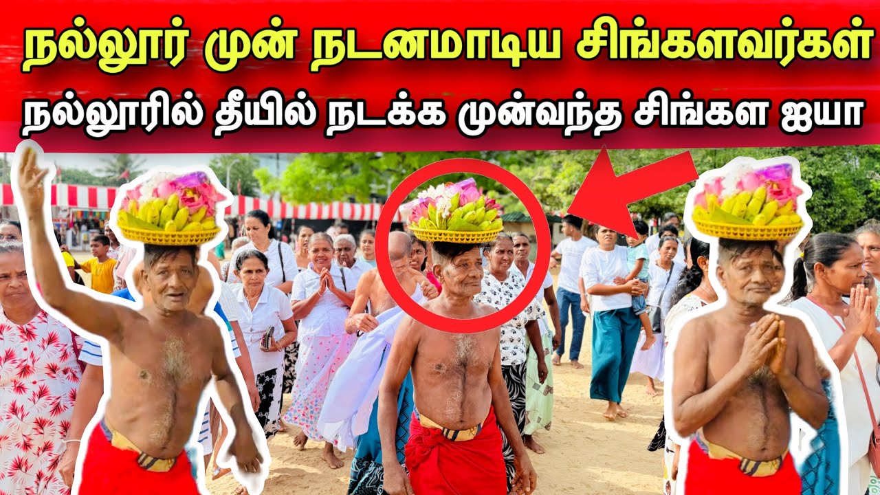 திடிரென நல்லூரில் தீயில் நடக்க முன் வந்த சிங்கள மக்கள்/நல்லூர் முன் நடனமாடிய சிங்கள மக்கள்/#nallur 