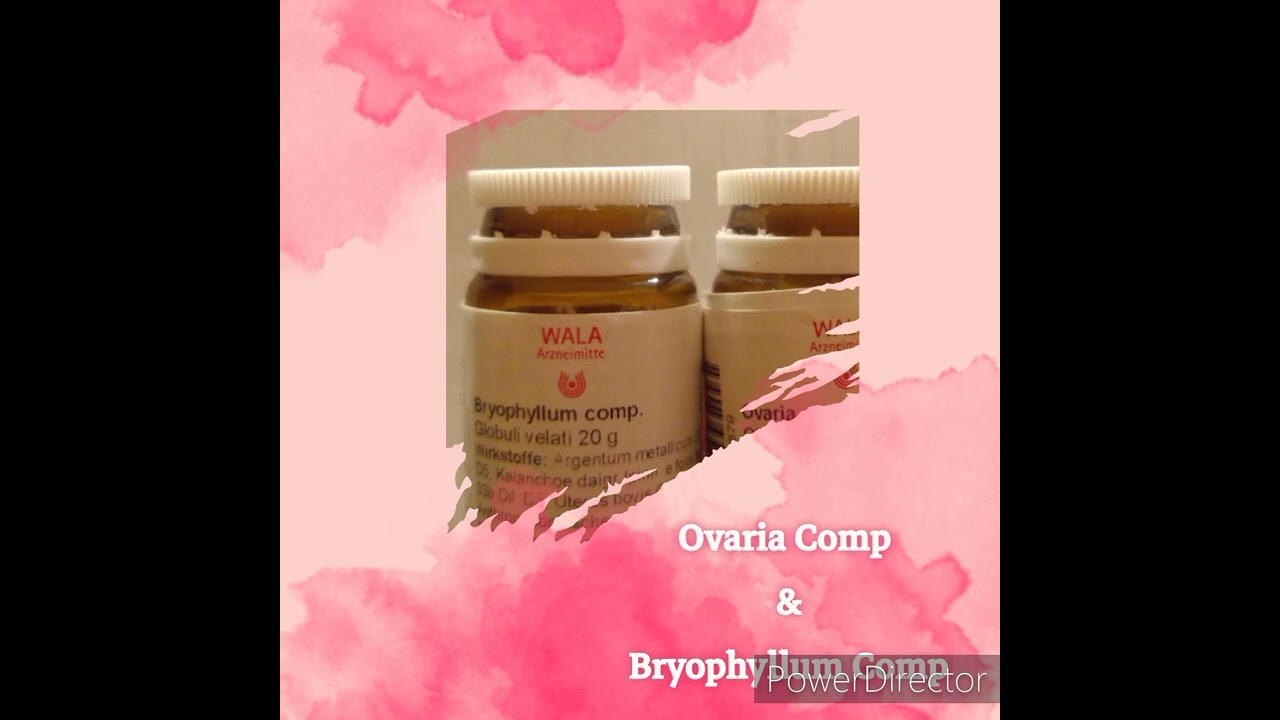 schnell schwanger werden | Bryophyllum  comp und Ovaria comp bei Kinderwunsch
