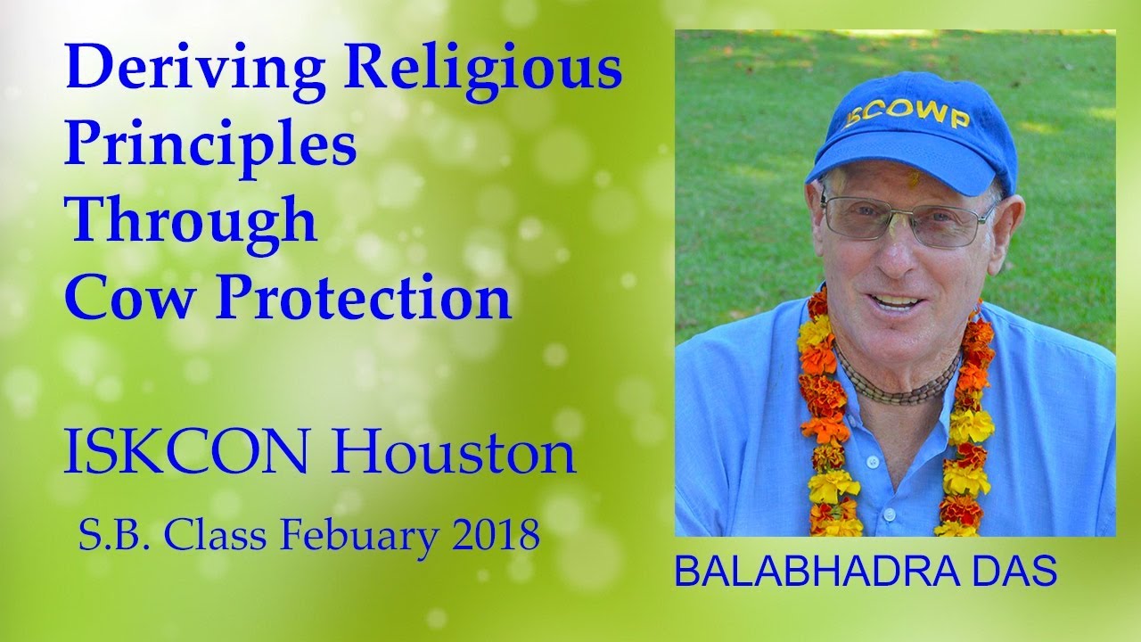 Deriving Religious Principles Through Cow Protection