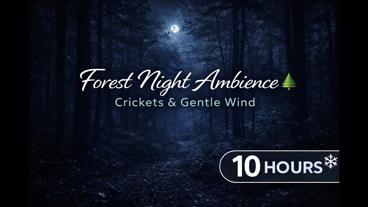 Forest Night Ambience 🌲 | Crickets & Gentle Wind | Sleep & Study Sounds | 10 Hours