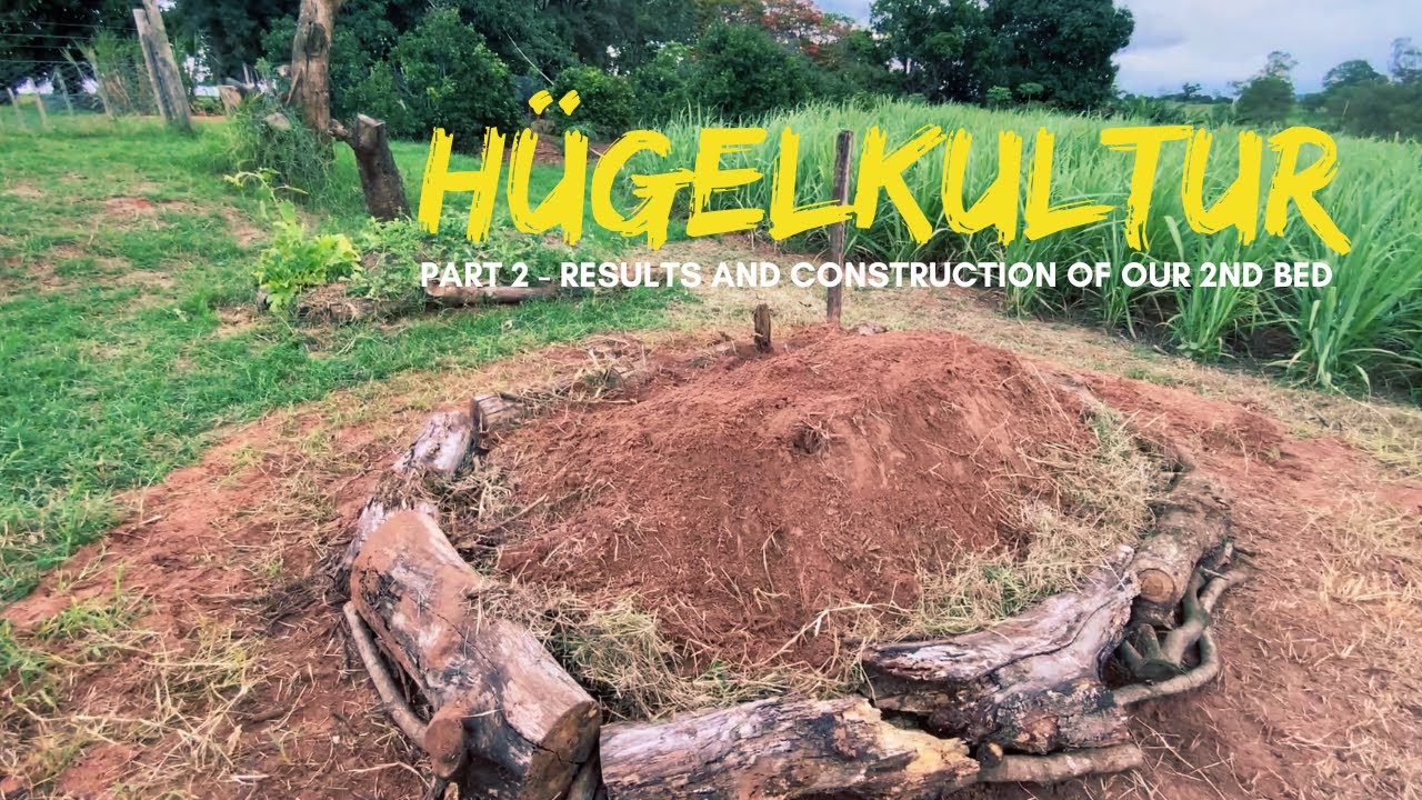 Hügelkultur Raised Bed - Results After 9 Months - How To Build A Hugelkultur Bed