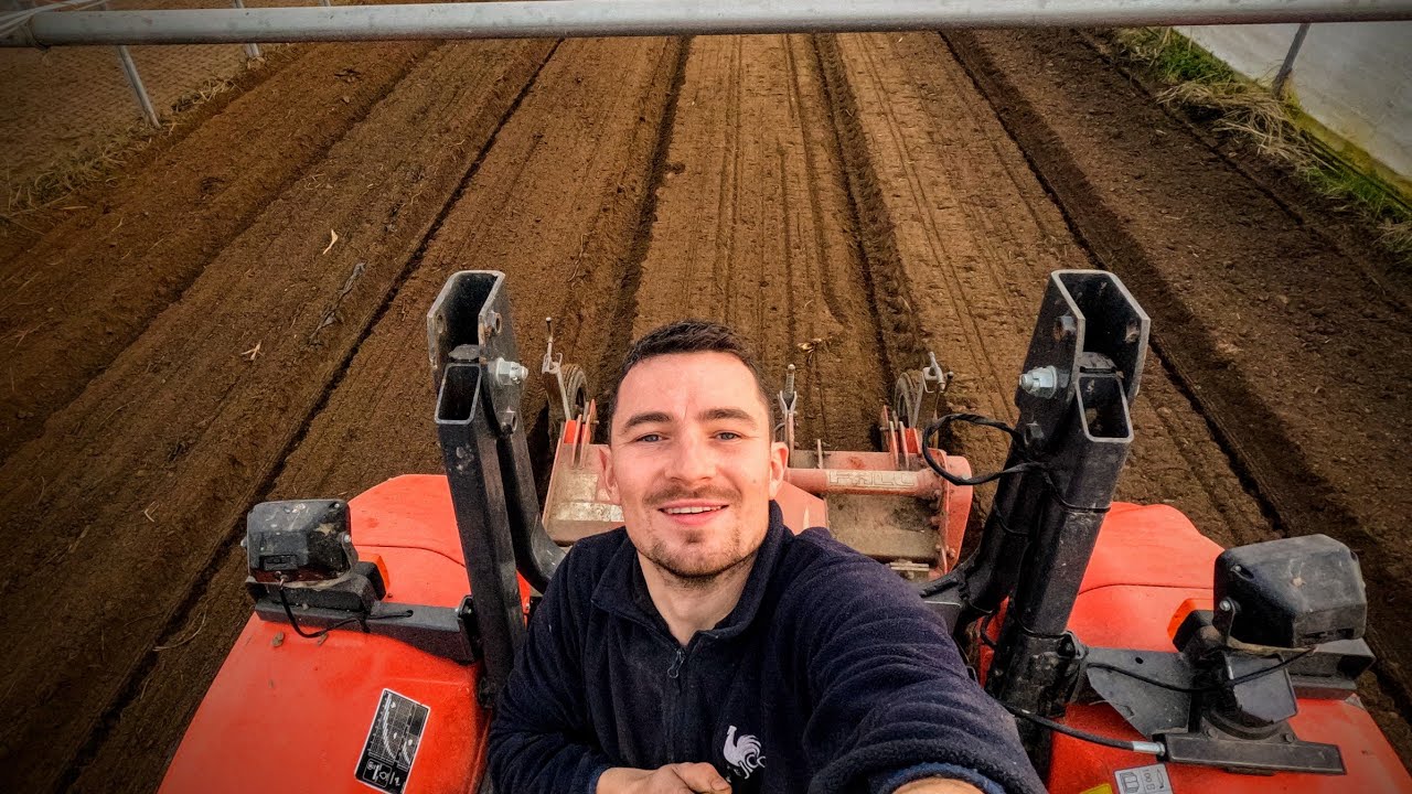 Semis des carottes sous abri