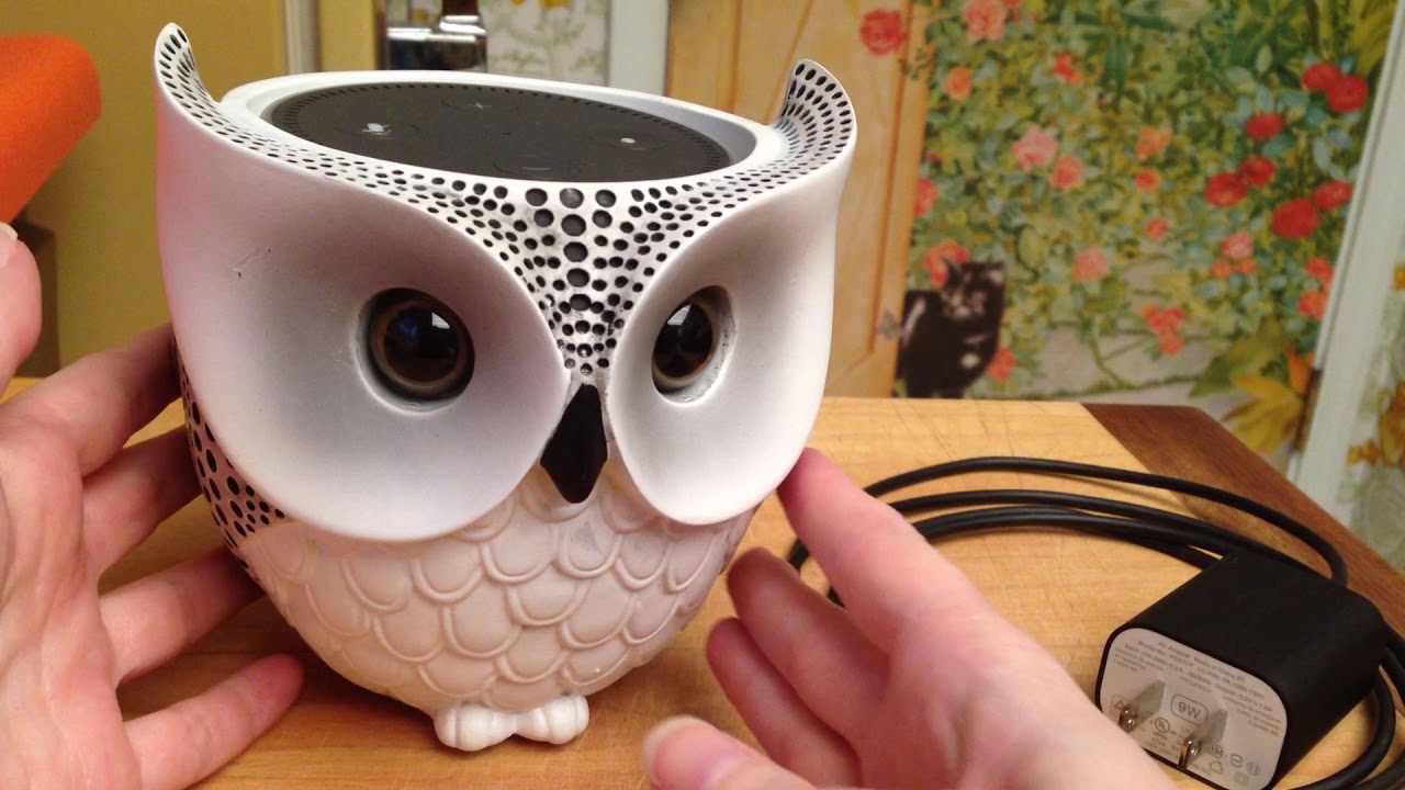 Owl Echo Dot Holder