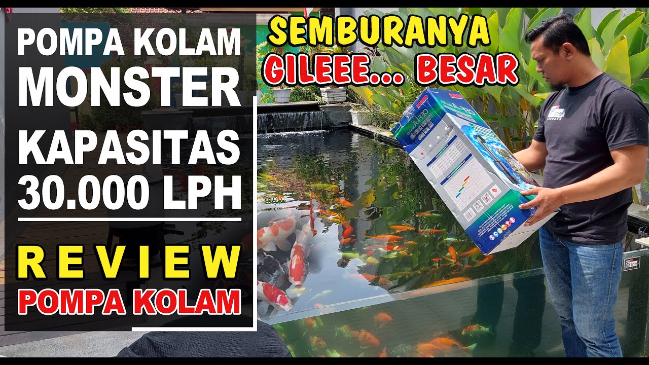 REVIEW POMPA KOLAM MONSTER‼️Semburanya Gileee Besar‼️