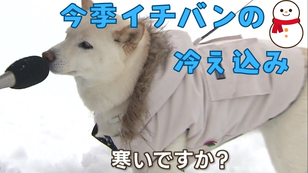 今季１番の冷え込み「さっきも転びそうになりました」ツルツル路面に注意　今シーズンの冬靴のトレンドは？