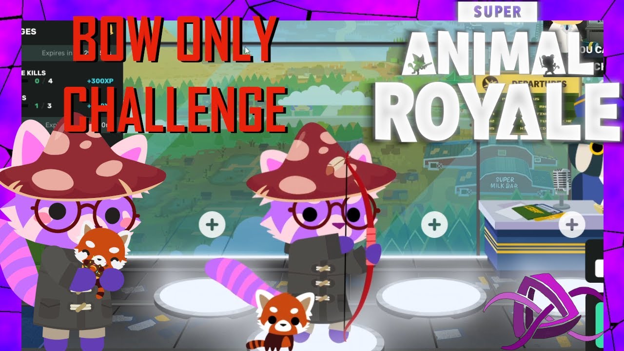 SAR Challenges: BOW ONLY