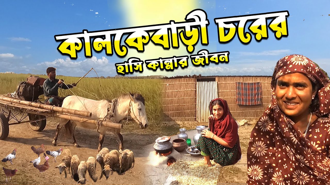 কালকেবাড়ী চরের মানুষের দুঃখ কষ্টের জীবন।পাবনার কালকেবাড়ী চর।।Kalkebari Char,Pabna