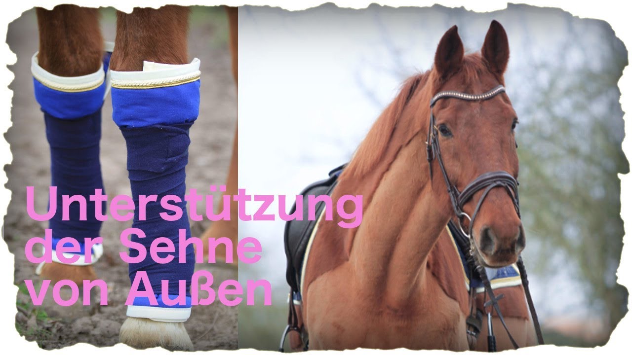 So unterstützen wir den Sehnenschaden von außen...