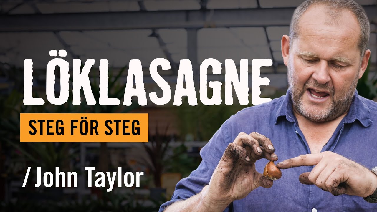 Sätta blomsterlök i kruka /John Taylor | Tips & råd | Vi visar hur du gör [HORNBACH]