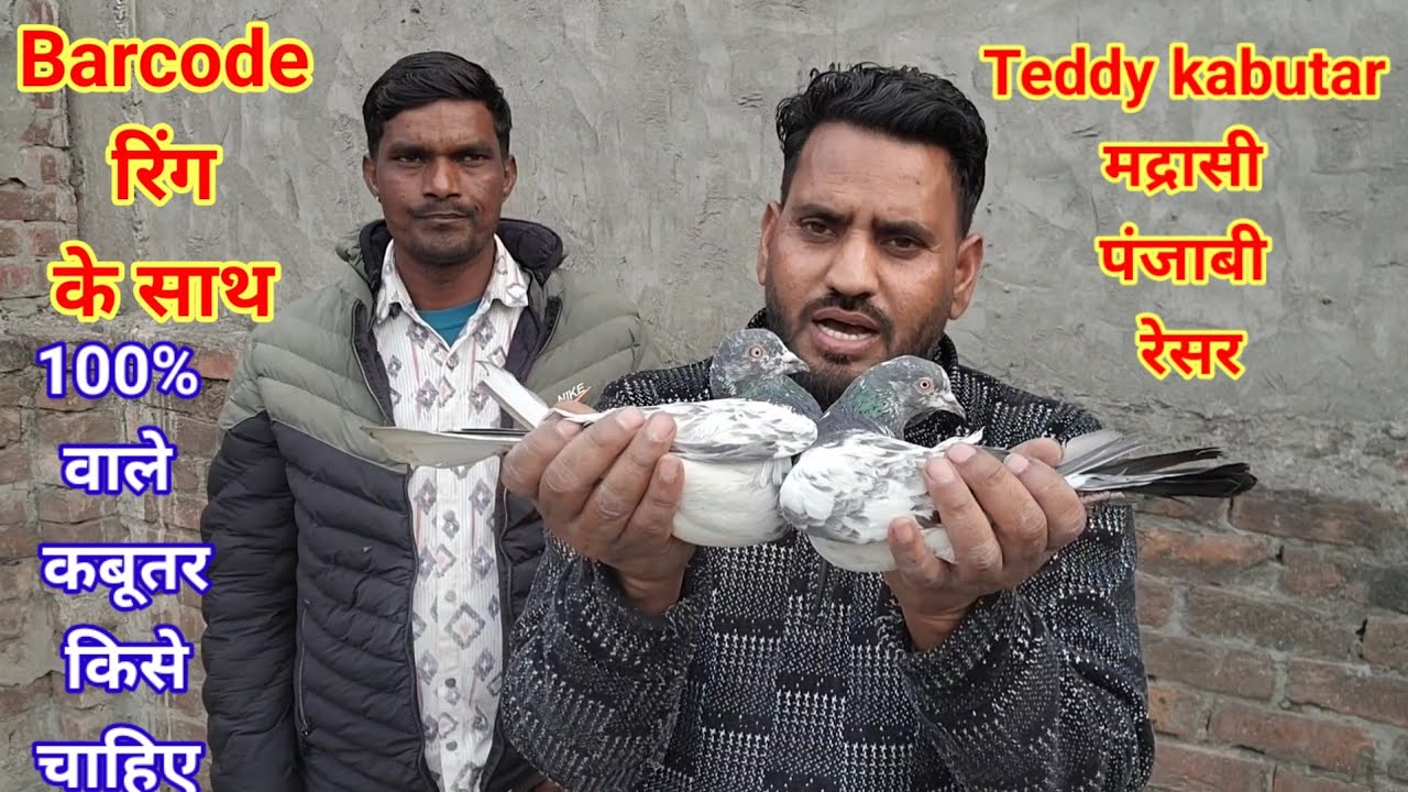 Barcode Ring ke sath koi bhi nasal lo,,9888150785