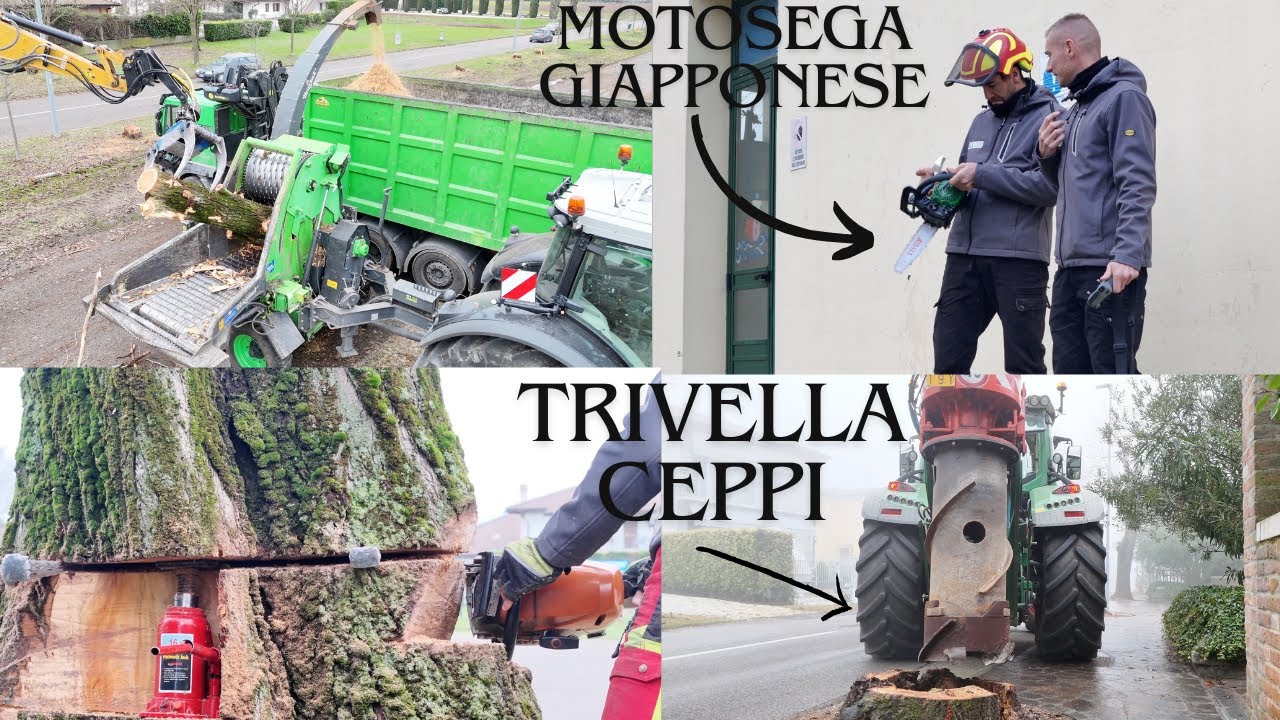 ABBATTIMENTI, CIPPATURA E FRESATURA CEPPI CON TRIVELLA. QUESTA VOLTA ABBIAMO ESAGERATO!