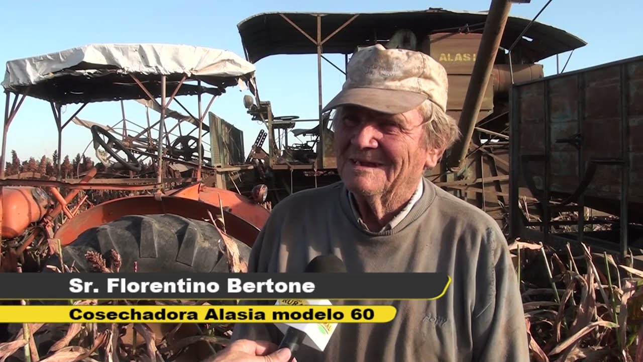 Cosechadora Alasia modelo 1960 trabajando en el 2020