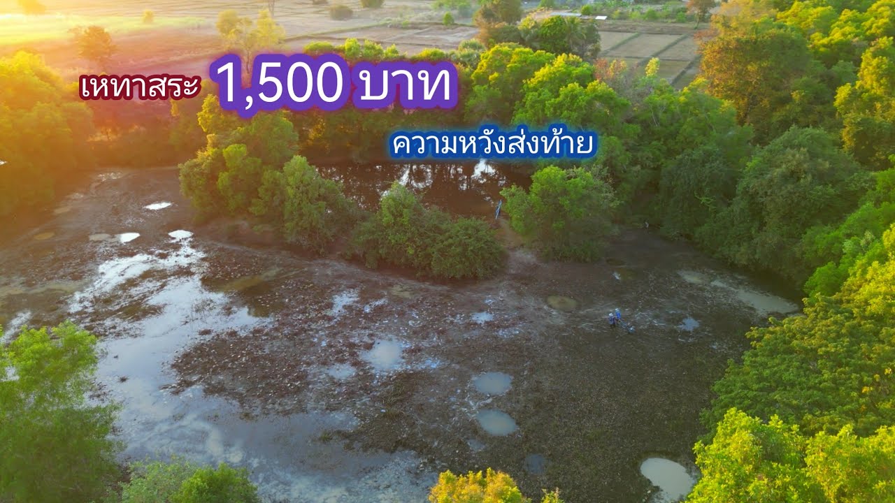 เหมาสระ​ 1,500​ บาท​ สระที่รอคอย​ ความหวังส่งท้าย​ / บ้านนอก​ EP.711
