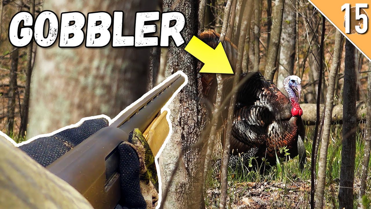 OHIO Spring Turkey Hunting!!! - (Longbeard SNEAKS in QUIET!)
