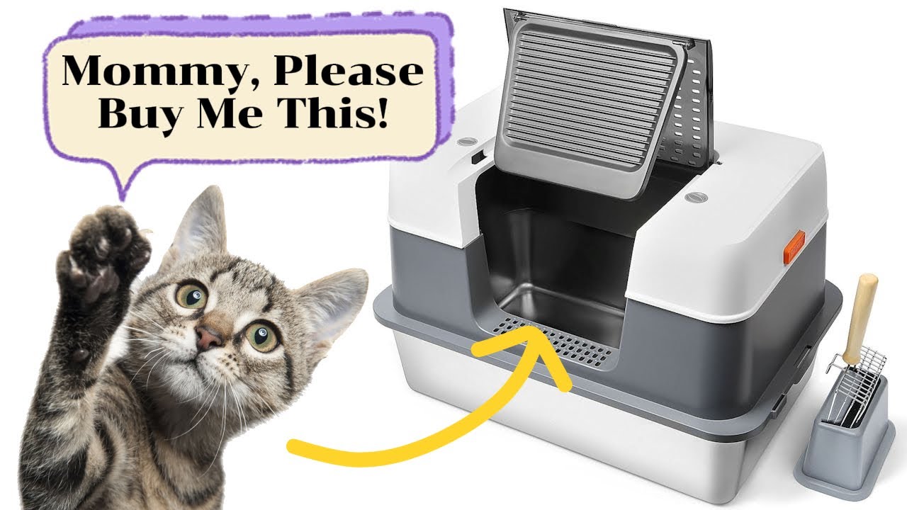 Why Every Cat Owner Needs A Stainless Steel Litter Box?