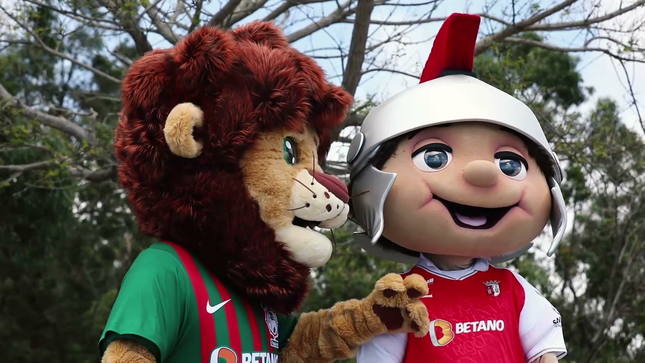 O nosso Garras levou o seu amigo Brácaro a passear pela nossa ilha!