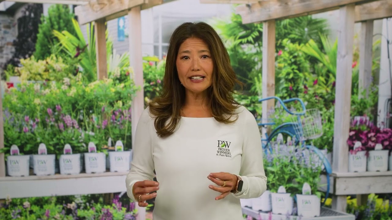 5 Easy Tips for Stunning Container Gardens | Proven Winners® Guide