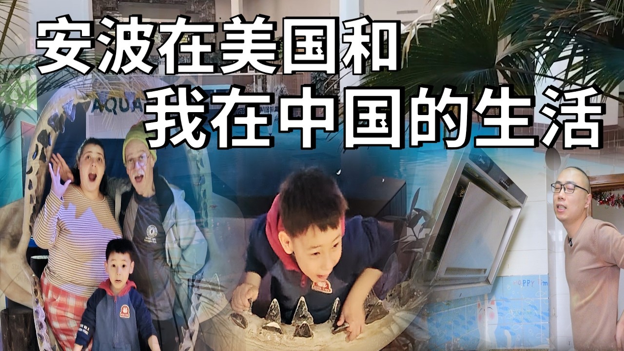 安波在美国和我在中国的不同生活