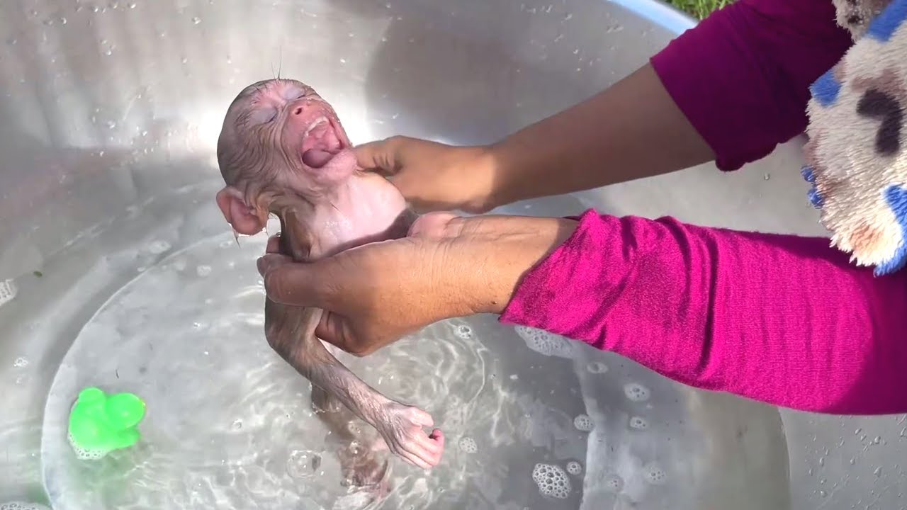 Like A Newborn Baby First Bath, Baby Jessa Bathing Look So Express
