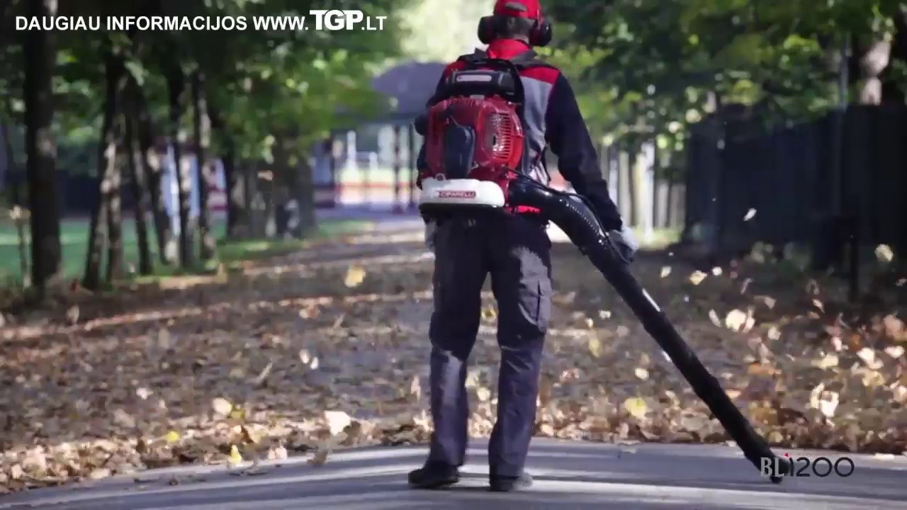 Lapų pūstuvas Cifarelli BL1200