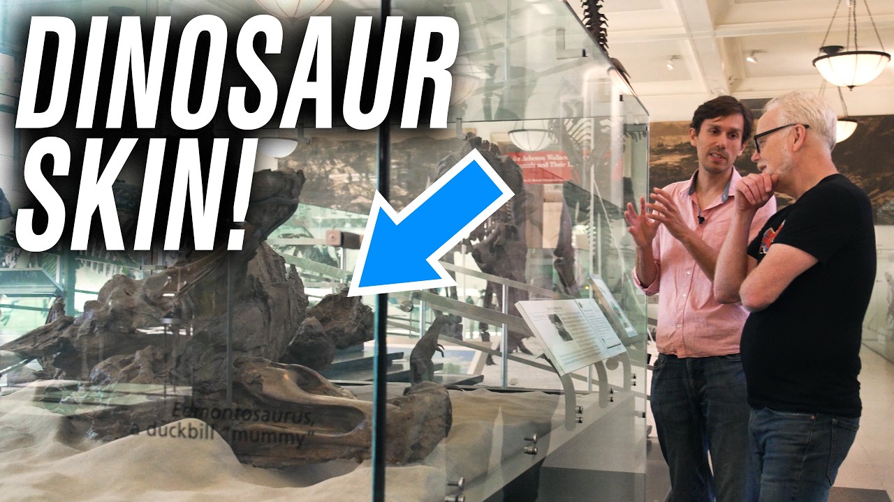 A Mummified DINOSAUR? (at @AMNH)