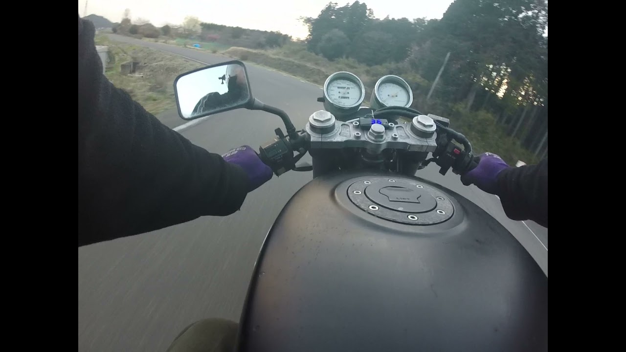 SUZUKI GOOSE 350