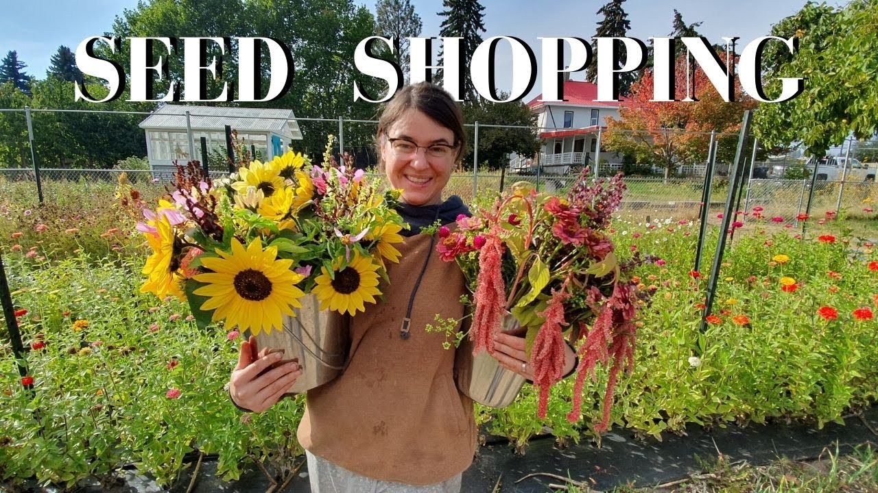 My New Favorite Sunflower Seed Shop | Sunflower Selections