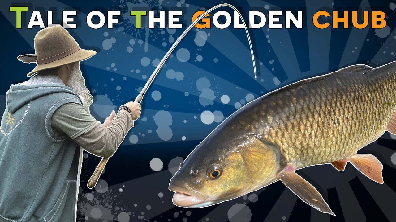 The Tale of the Golden Chub | Az Arany Domolyk&oacute; Mes&eacute;je - 4K Short Film
