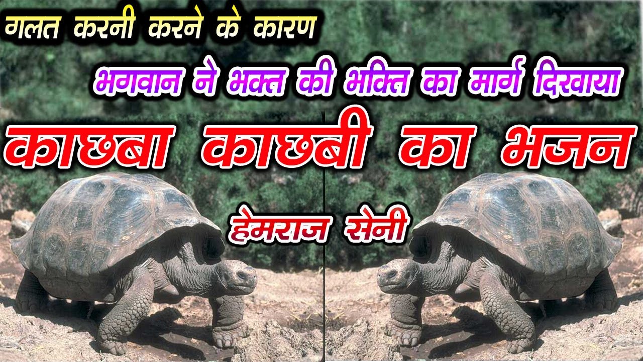 "काछबा काछबी की कथा व भजन गायक हेमराज सैनी बहुत ही सुंदर सुरीले स्वर में मारवाड़ी राजस्थानी लोक भजन