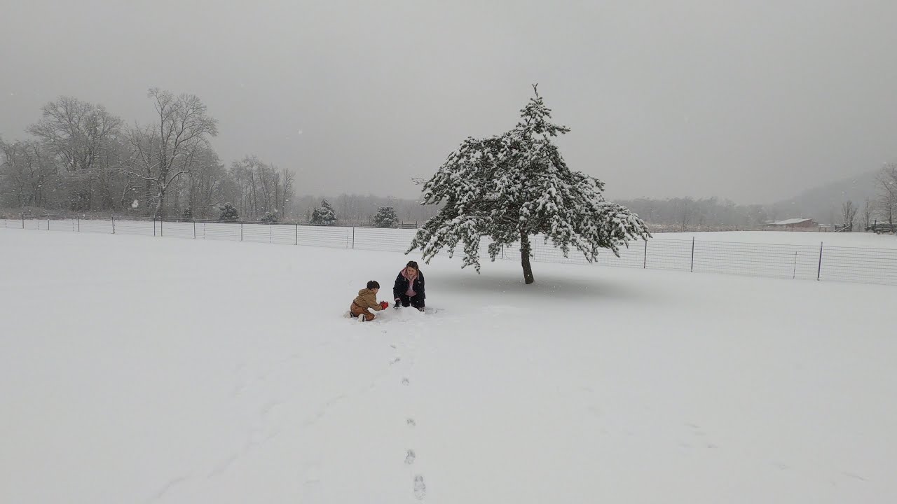KENTUCKY snow day