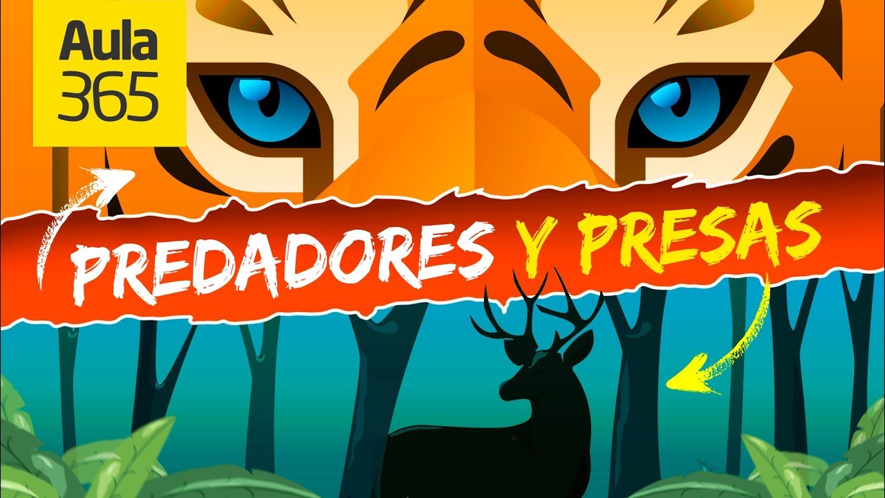 ¿Qué son Depredadores y Presas? Las relaciones entre animales | Videos Educativos Aula365