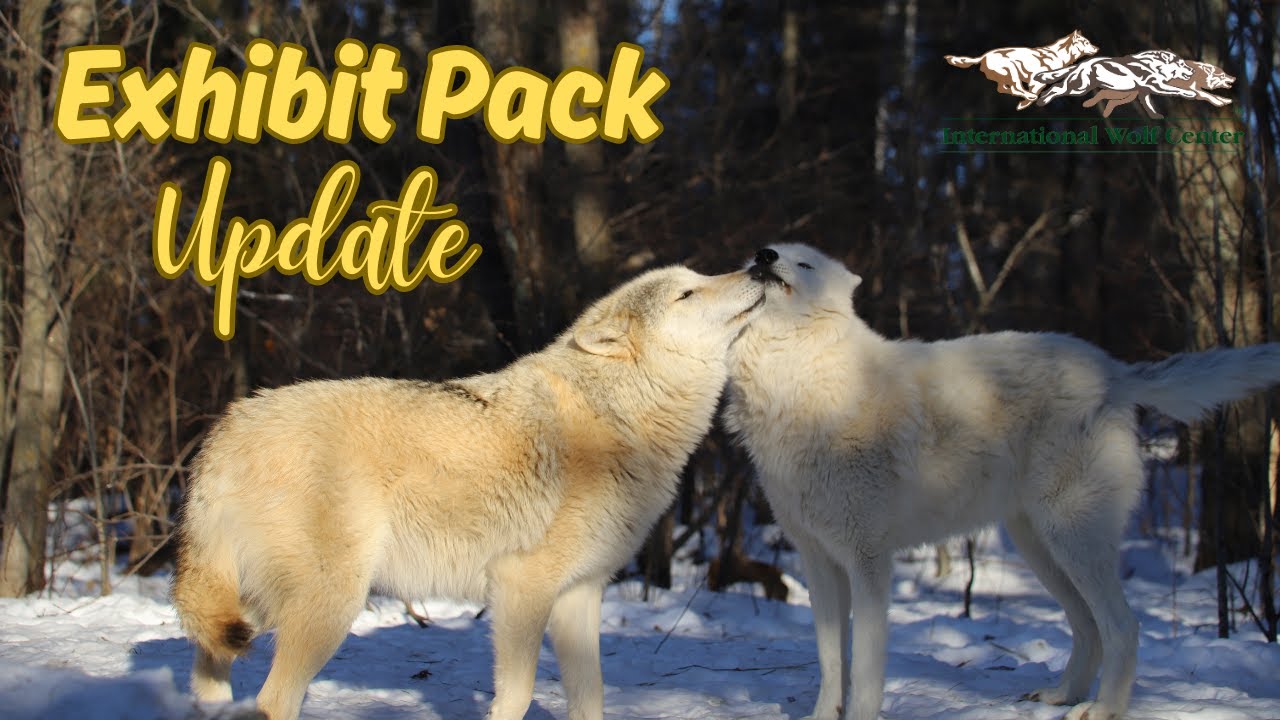 Exhibit Pack Update - 6 January 2025