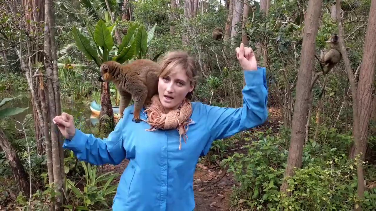 Moving It in Madagascar