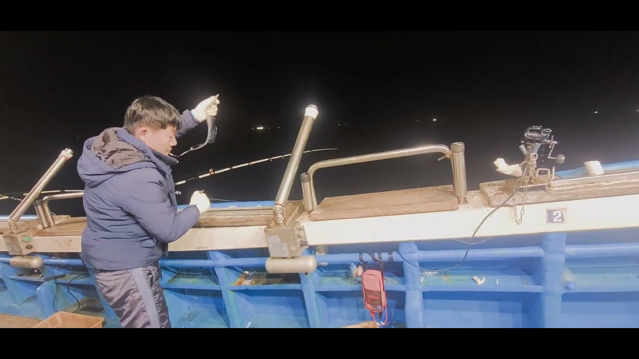 11월30일 동양호 갈치 조황구경!