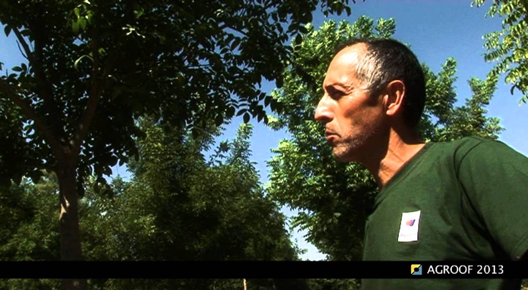 ITW4_rousseau_BONUS_cahierDVD N°1 agroforesterie